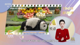 午夜国产福利视频